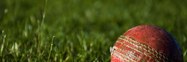 2026世界杯官方用球与装备发布新闻图片 - 新款足球