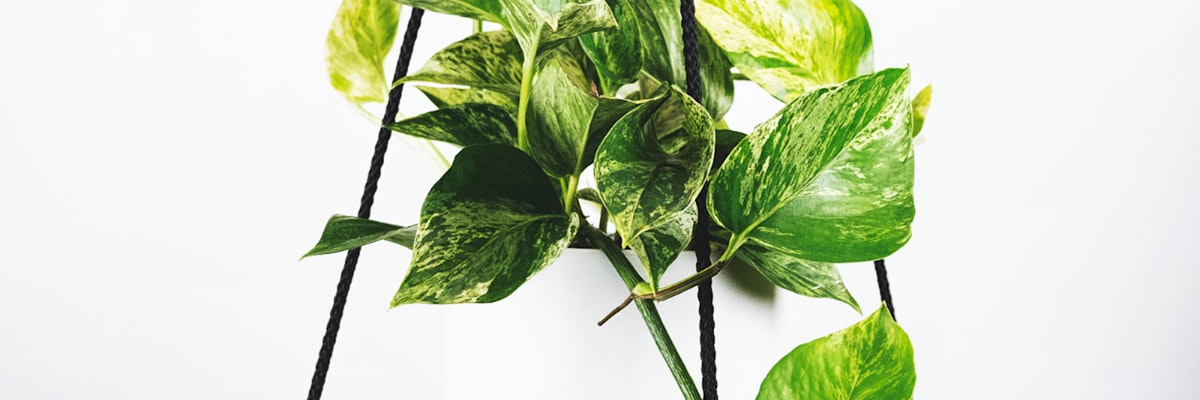 2026世界杯赛程表概念图 - 日历与足球元素结合